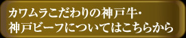 ポリシー