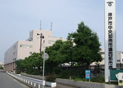 西部市場1