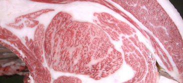 画像:優秀賞　受賞牛 令和6年度(366回)　神戸ビーフ品評会