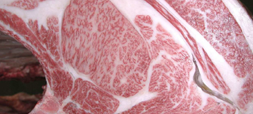 画像:最優秀賞(チャンピオン)受賞牛 令和6年度(367回)　神戸ビーフ品評会