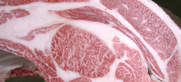 画像:最優秀賞(チャンピオン)受賞牛 第98回 神戸牛枝肉共励会