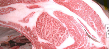 26th JA Hyogo Rokkou-ushi kyoreikai(Kobe beef contest)