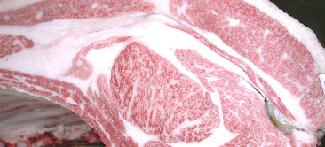 247th Kobe Beef Kyoreikai