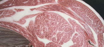 Zenchikuren Kobe beef Grand champion kyoreikai