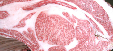 247th Kobe Beef Kyoreikai