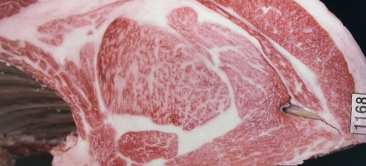 250th Kobe Beef Kyoreikai