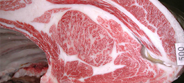 JA Zennou Hyogo Tajima day Study Group