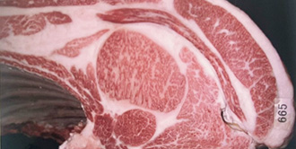 250th Kobe Beef Kyoreikai